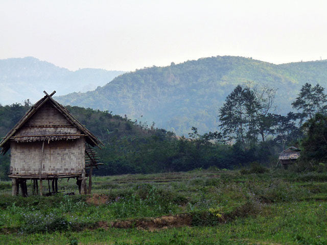 Bamboo Chimes: Behind the Design
