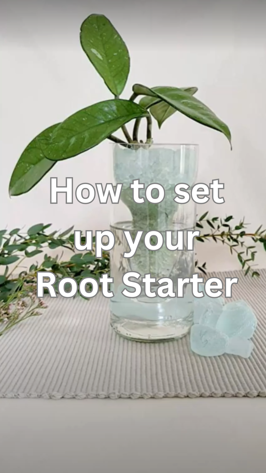 Paper Glass Roots How to Set Up Your Hydroponic Glass Root Starter 🌿 – Hanscomb Glass ...