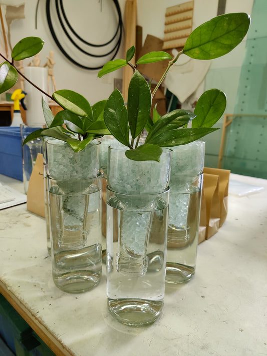 Upcycled Glass Root Starters Elora at Hanscomb Glass